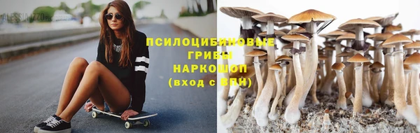 дживик Козловка