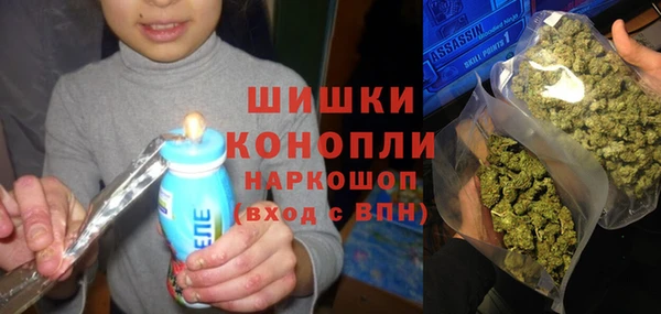 дживик Козловка